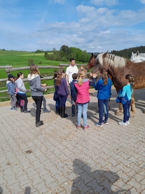 Jungzchterlehrgang in Elzach 