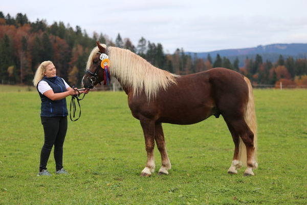 Valesko von Vogt, Z: Selina Schulthei, B: ZG Leichtenstern (Foto Alfred Schwr)