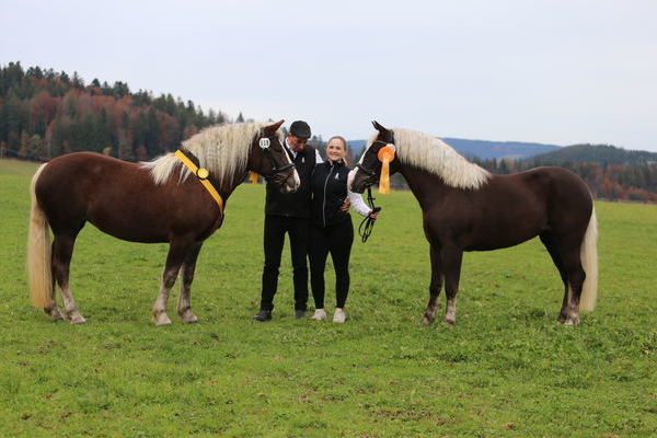 Zukunftspreis 2j.  Stuten: Siegerstute  Rosella von Von Baden, ZG Wendel-Schrder, Althornbach, Note 7,83 und Reservesiegerin Eislilie von Von Baden, Fam. Finsterwald, Salem, Note 7,67, (Foto Alfred Schwr)