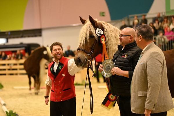 Bundessiegerstute Olea von Wilano, Peter Lehmann, Freudenstadt (Foto Michaela Mertz)