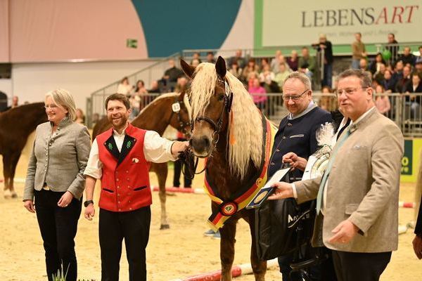 Bundessiegerstute Olea von Wilano, Peter Lehmann, Freudenstadt (Foto Michaela Mertz)