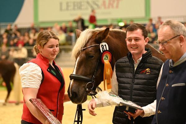 Bundesreservesiegerstute Irmi von Markus Z: Katrin Mder, St.Mrgen, B: Nico Gaiser, Baiersbronn (Foto Michaela Mertz)