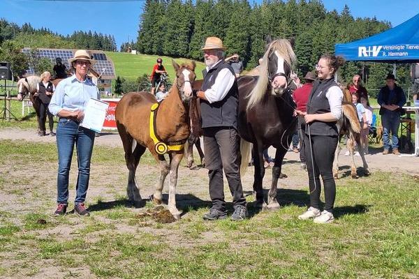 Siegerstutfohlen Natalie von Adalbert Jegler, Deggenhausertal mit berreichen des Ehrenpreises durch Fr. Dr. Carolin Eiberger von Marbach (Foto Alfred Schwr)