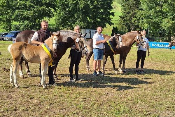 Siegerhengstfohlen von Markward, Z: Jonas Kuri , Waldkirch und Siegerstutfohlen Eisviola von Von Baden, Z: Familie Finsterwald, Salem (Foto Alfred Schwr)