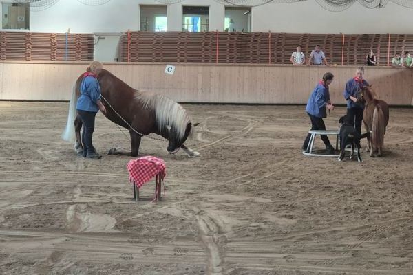 Christine Rombach mit Zirkuslektionen (Foto Alfred Lffler)