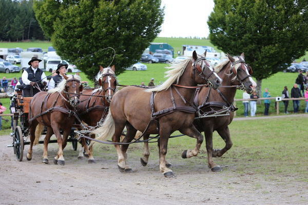 4 Spnner Roland Buerle (Foto Alfred Schwr).JPG