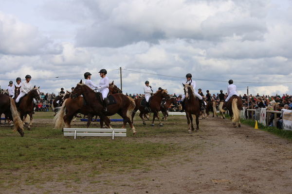 24er Reitquadrille ZV Mittlerer und Hochschwarzwald ( Foto Alfred Schwr).J