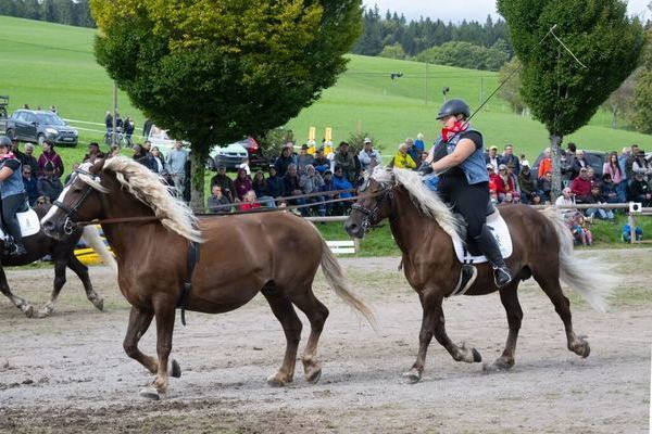 Jungzchter (Foto Wolfgang Scheu