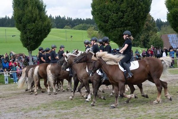 Schauprogramm 24er Quadrille (Foto Wolfgang Scheu