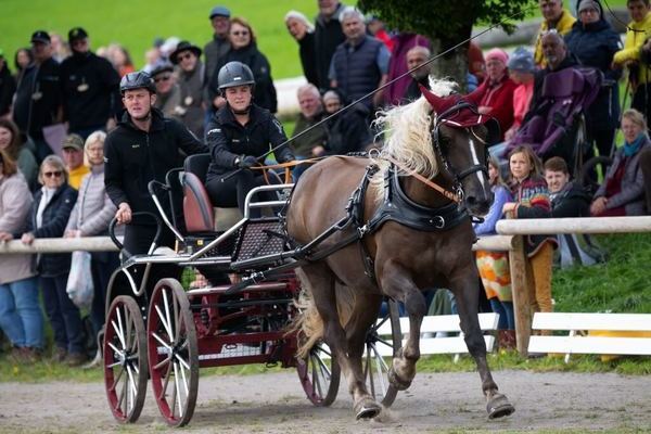 Schauprogramm Hindernisfahren 3(Foto Wolfgang Scheu