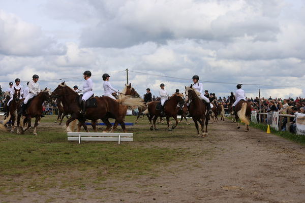24er Reitquadrille (Foto Alfred Schwr)