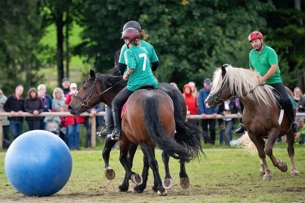 Schauprogramm Pferdefuball 4(Foto Wolfgang Scheu).