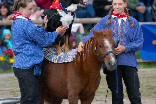 Schwarzwaldzirkus (Foto Wolfgang Scheu) 3