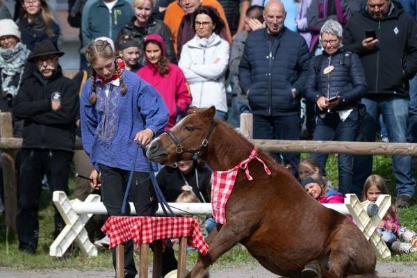 Schwarzwaldzirkus (Foto Wolfgang Scheu)7