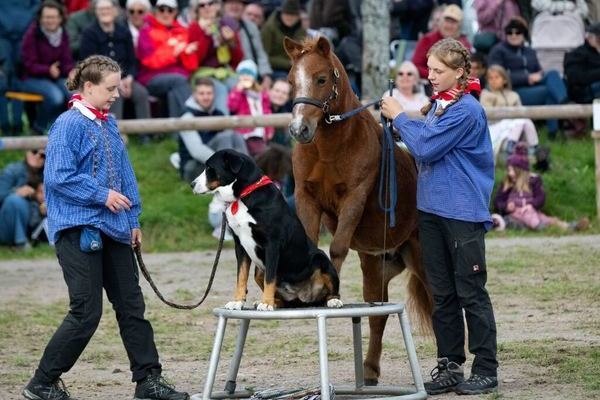 Schwarzwaldzirkus (Foto Wolfgang Scheu)s 3