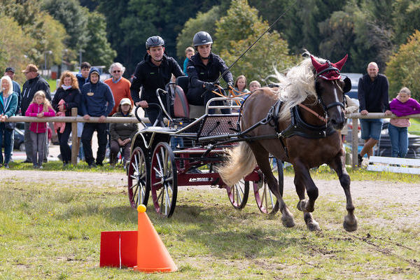 Schauprogramm Hindernisfahren 2 (Foto Matthias Brochhagen)