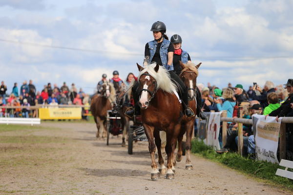Gemischte Quadrille Jungzchter (Foto Alfred Schwr).J
