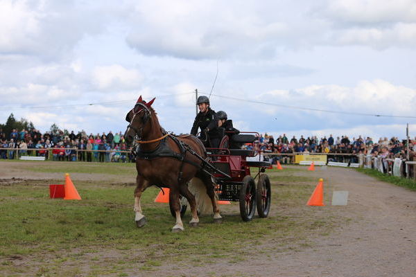Hindernisfahren (Foto Alfred Schwr).J