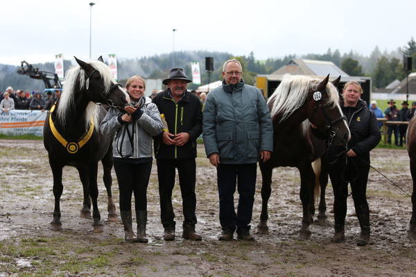 Reservesieger Stutenfamilie Florett Jrg Kurz (Foto Alfred Schwr) .J
