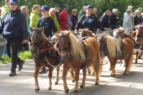 Festumzug Fahrteam Schwenk
