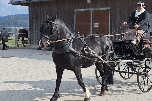 Rohan, Deckstation Blattert, Bonndorf 
