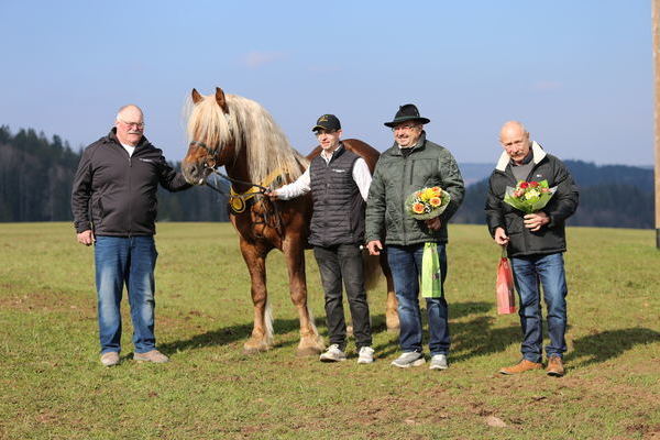M�nchbr�u wird zum Hautpr�mienhengst. Von links Besitzer Werner Schulthei�, Tobias Roth, Z�chter Willi Kuri, Josef Allgaier (Z�chter neuer Hauptpr�mienhengst Markus (nicht anwesend)(Foto Alfred Schw�r).JPG