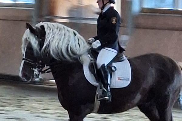 Markstein, Deckstation St. M�rgen 