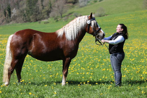 Gina von Markgraf, Note 7,36, ZG Kury Schneider, Elzach