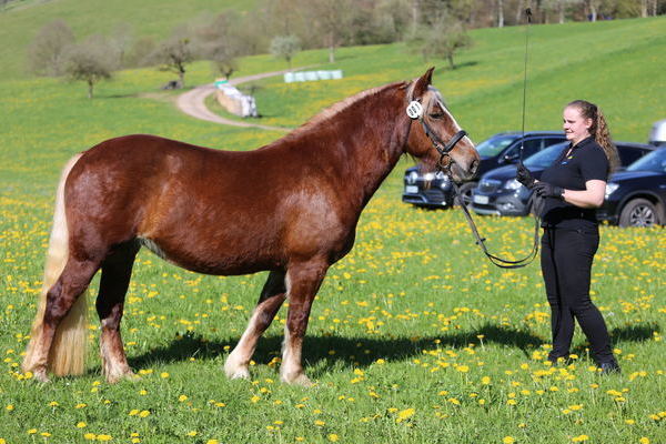 Florina von Dachsbub, Note 7,25  Saskia Schmid M�hlenbach
