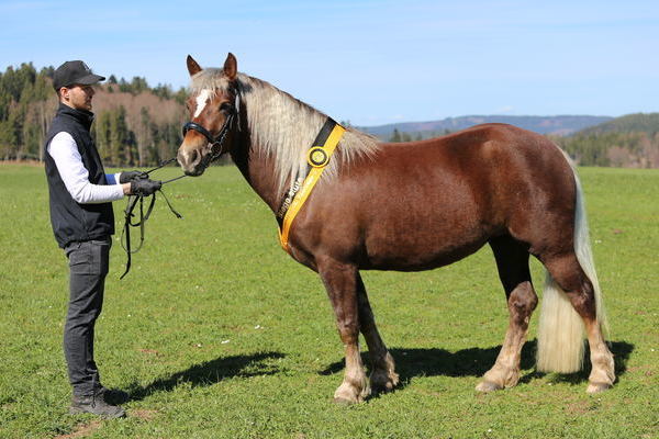 Elsa von Mendel, Note 7,57, Simon L�ffler, Titisee-Neustadt