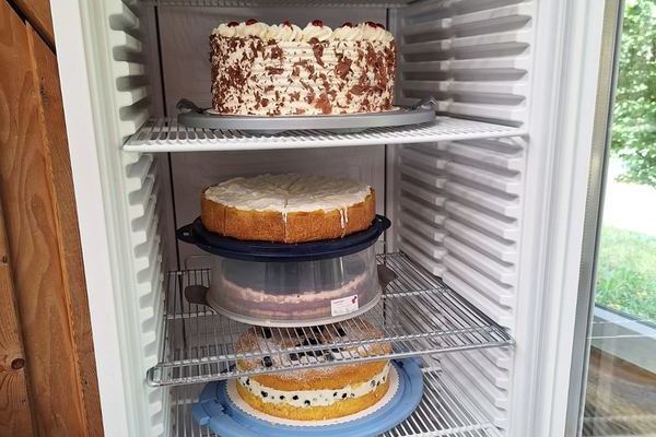 Dank vieler Kuchenspenden gab es eine leckere Auswahl an der Kuchentheke 