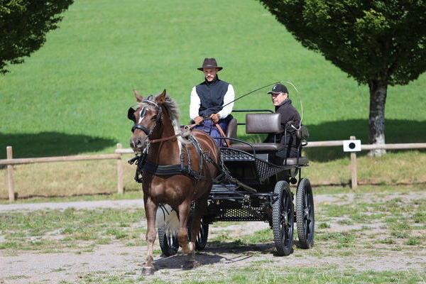 Elsa, 4j, Note 7,49, Simon L�ffler, Titisee-Neustadt  (Foto Alfred Schw�r)