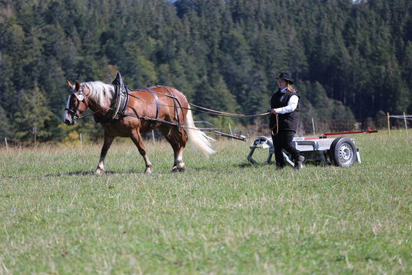 Fee, 3j, Note 8,29, Maria B�hler Freiamt  (Foto Alfred Schw�r)