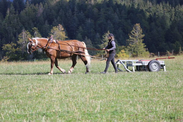 Nayla, 5j, Note 7,30, ZG Schmidt, Kleines Wiesental   (Foto Alfred Schw�r)