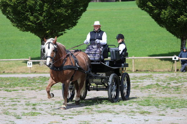 Simona, 14j, Note 8,60, ZG Wendel- Schr�der, Althornbach, Vorsteller: Roland Finsterwald  (Foto Alfred Schw�r)