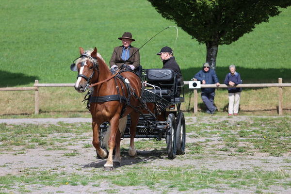 Hannelore, 5j, Note 7,94, ZG M�ller, Titisee-Neustadt  (Foto Alfred Schw�r)