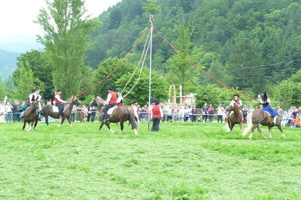 Bändertanz , Zuchtverein Mittlerer Schwarzwald