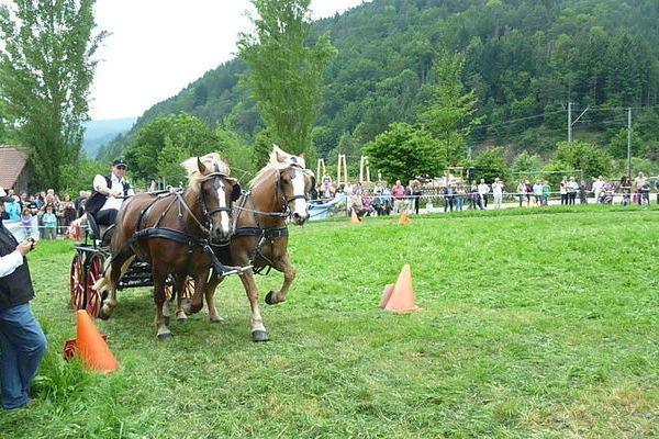 Hindernisfahren, Helmut Faller aus St. Märgen 