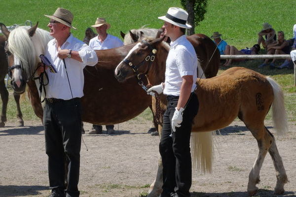 Mansuet Rißler